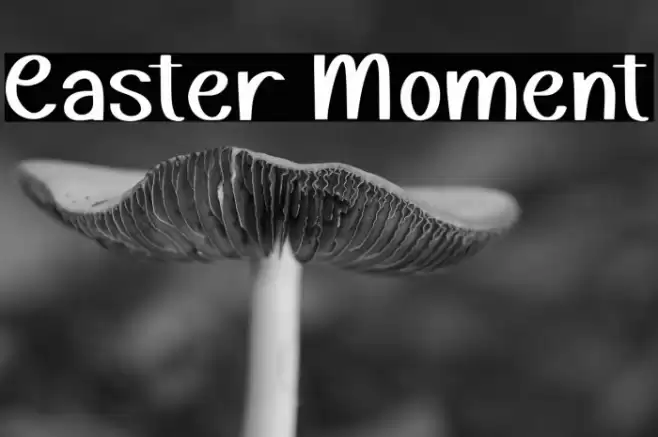 Easter Moment Fuentes examples