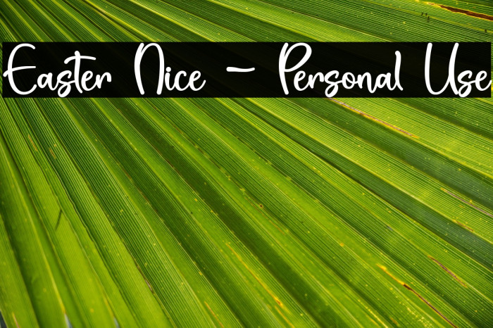 Easter Nice - Personal Use Example 3
