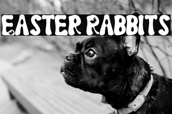 Easter Rabbits Example 2