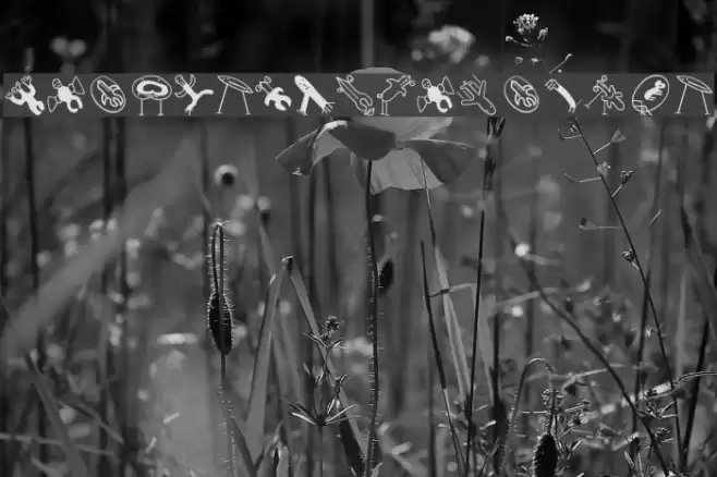 EasterAnimalsFour Font examples