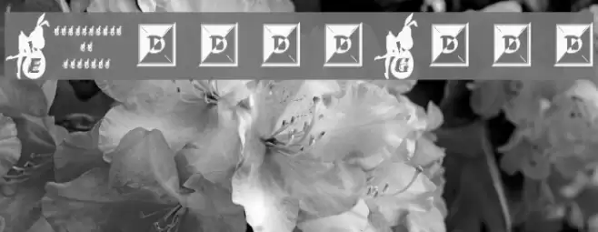EasterGirl Fuentes examples