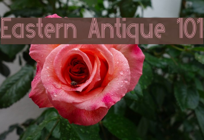 Eastern Antique 101 Polices examples