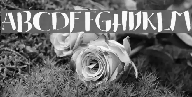 Eastern Brush Font examples