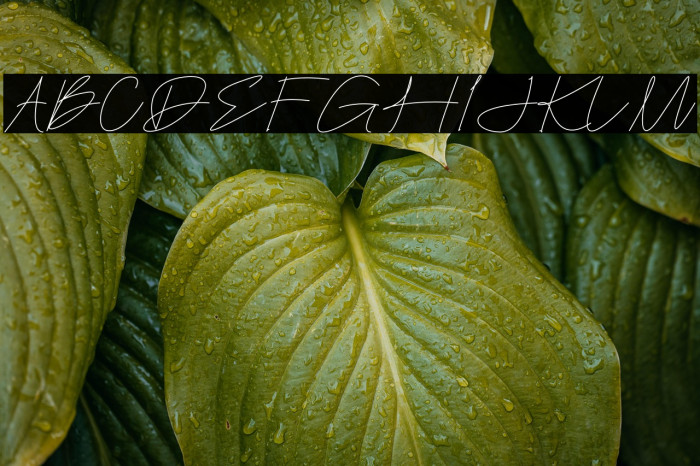 Easternation Example 3