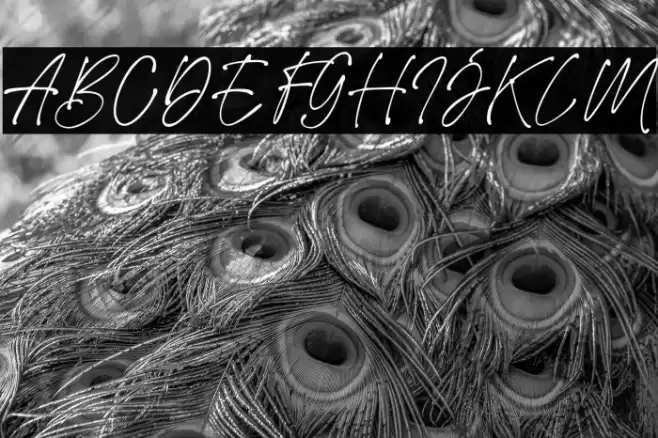 EasthallowDEMO フォント examples