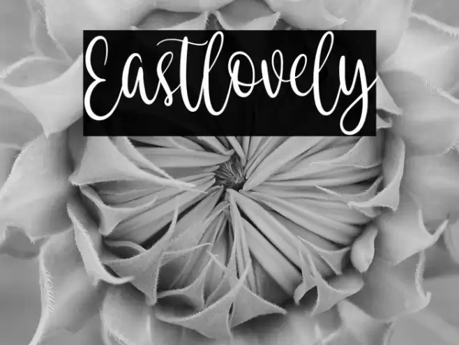 Eastlovely Font examples