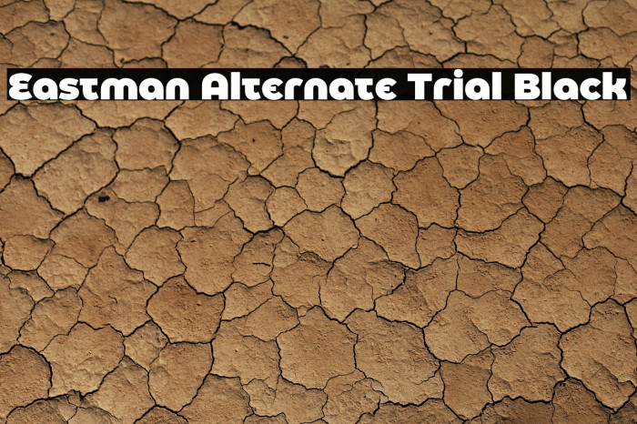 Eastman Alternate Trial Black Example 1