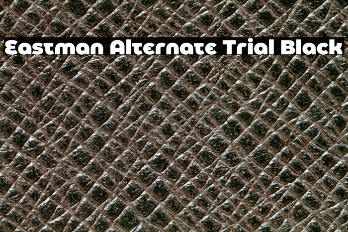 Eastman Alternate Trial Black Example 2