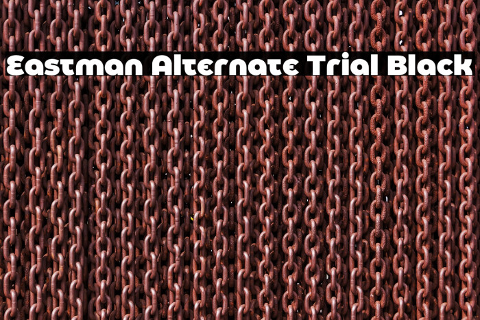 Eastman Alternate Trial Black Example 3