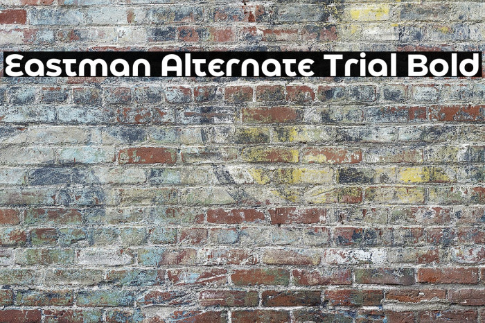 Eastman Alternate Trial Bold Example 2