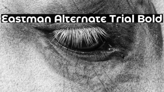Eastman Alternate Trial Bold Font examples