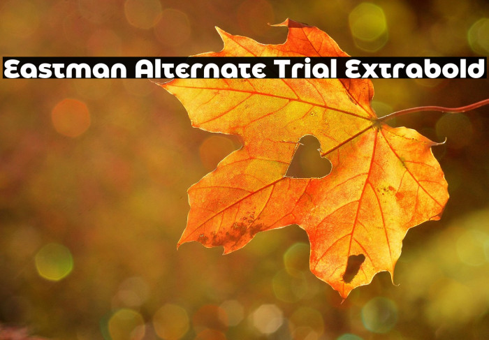 Eastman Alternate Trial Extrabold Example 1