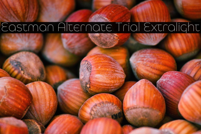 Eastman Alternate Trial Extralight Example 1