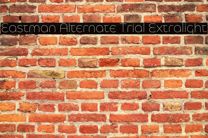 Eastman Alternate Trial Extralight Example 3