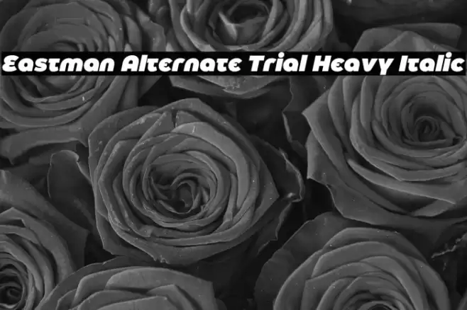 Eastman Alternate Trial Heavy Italic Font examples
