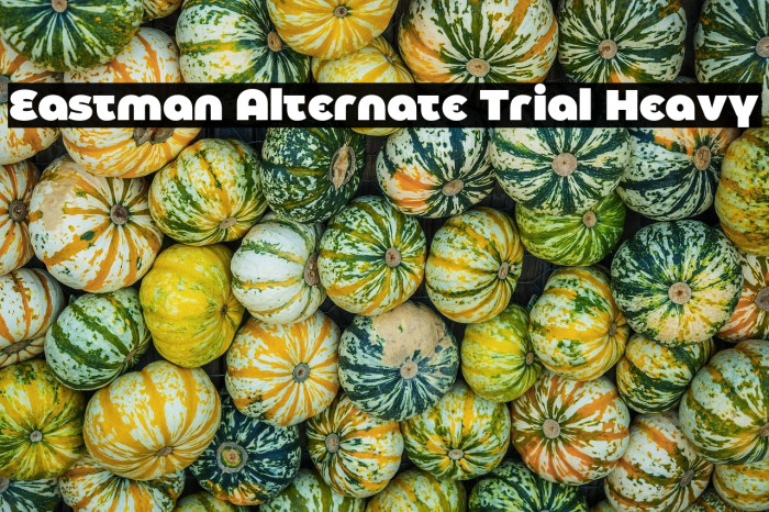 Eastman Alternate Trial Heavy Example 1