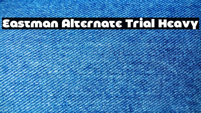Eastman Alternate Trial Heavy Example 2
