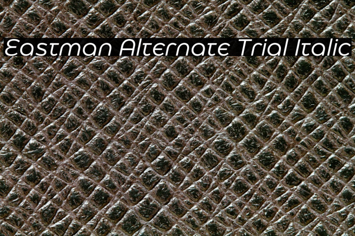 Eastman Alternate Trial Italic Example 2