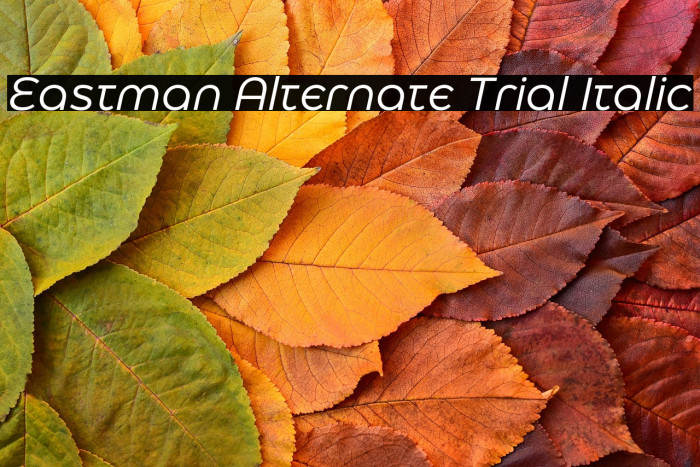 Eastman Alternate Trial Italic Example 3