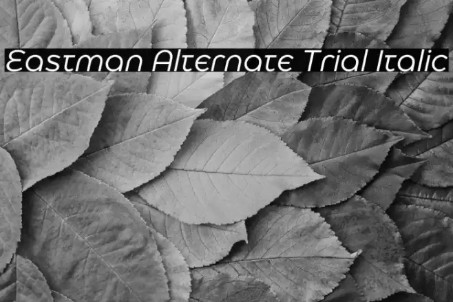 Eastman Alternate Trial Italic Font examples