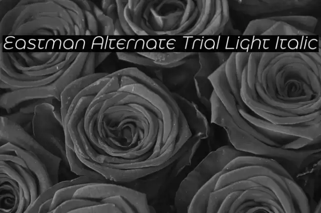 Eastman Alternate Trial Light Italic Font examples