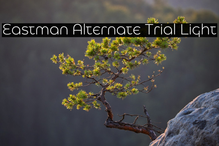 Eastman Alternate Trial Light Example 3