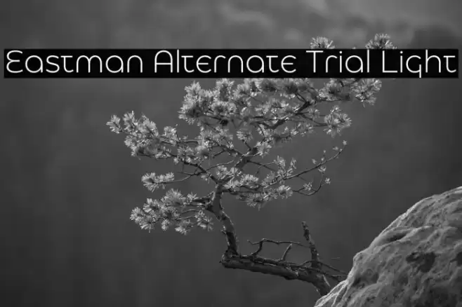 Eastman Alternate Trial Light Font examples