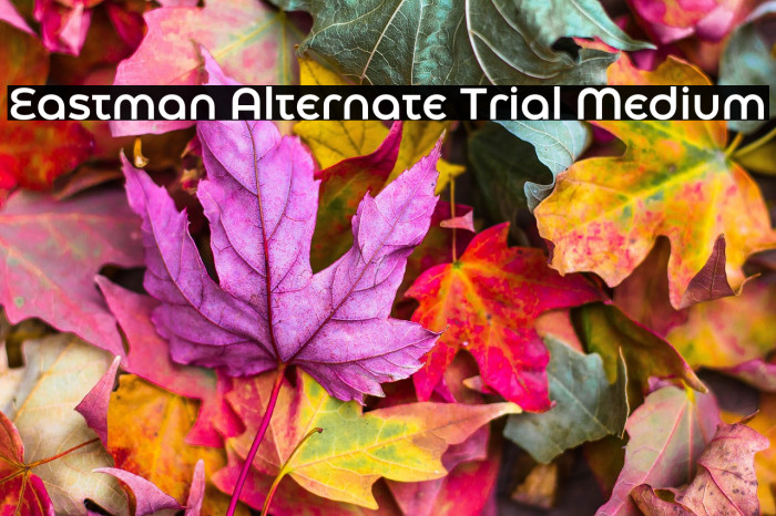 Eastman Alternate Trial Medium Example 1