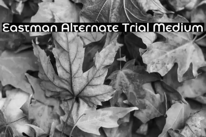Eastman Alternate Trial Medium Font examples