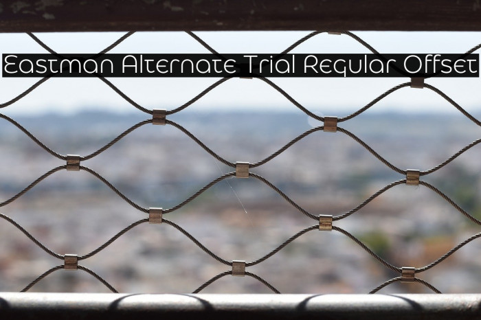 Eastman Alternate Trial Regular Offset Example 2