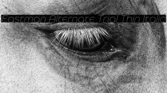 Eastman Alternate Trial Thin Italic Font examples