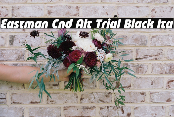 Eastman Cnd Alt Trial Black Ita Example 1