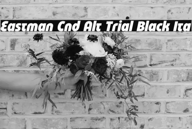 Eastman Cnd Alt Trial Black Ita Font examples