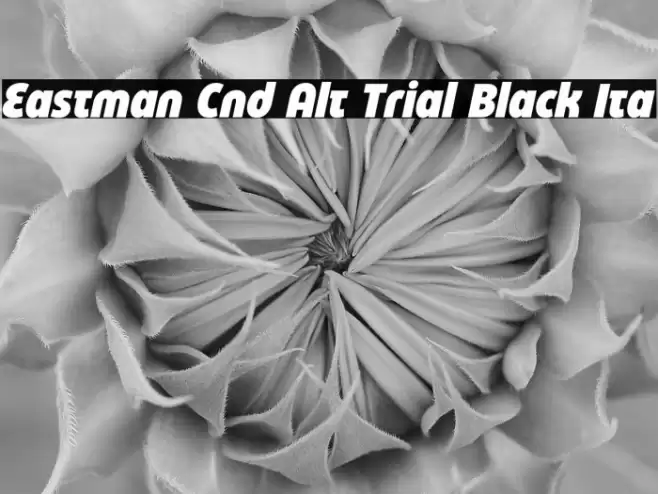 Eastman Cnd Alt Trial Black Ita Font examples