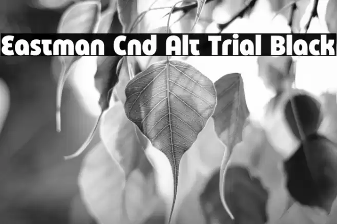 Eastman Cnd Alt Trial Black Font examples