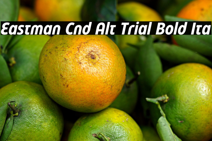 Eastman Cnd Alt Trial Bold Ita Example 1