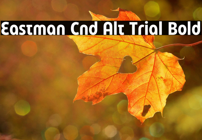Eastman Cnd Alt Trial Bold Example 1