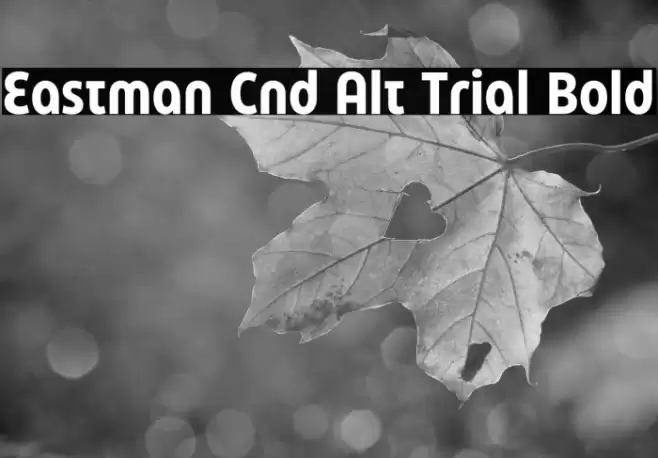 Eastman Cnd Alt Trial Bold Font examples