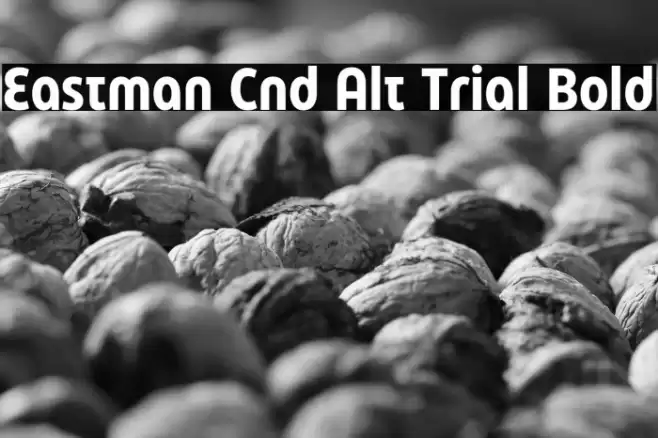 Eastman Cnd Alt Trial Bold Font examples