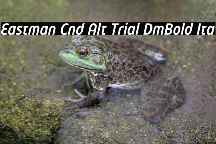 Eastman Cnd Alt Trial DmBold Ita Example 1