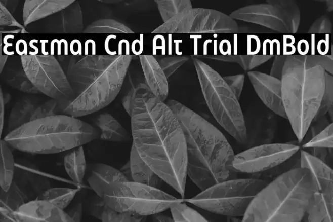 Eastman Cnd Alt Trial DmBold Font examples