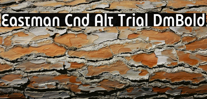 Eastman Cnd Alt Trial DmBold Example 3