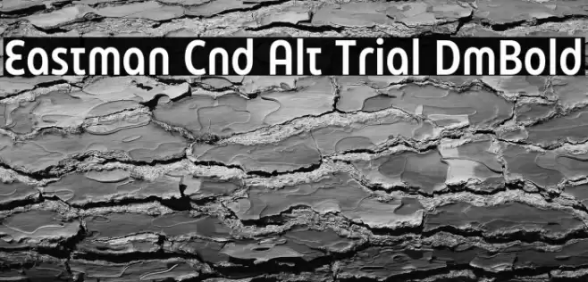 Eastman Cnd Alt Trial DmBold Font examples