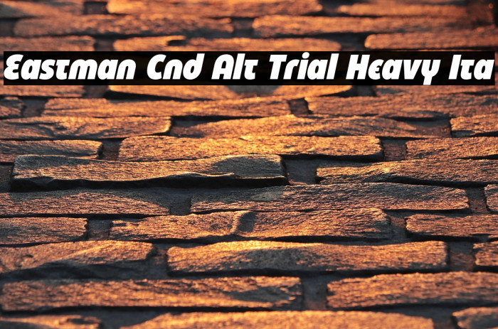 Eastman Cnd Alt Trial Heavy Ita Example 1