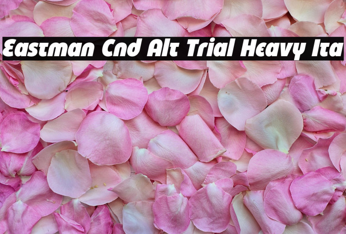 Eastman Cnd Alt Trial Heavy Ita Example 2