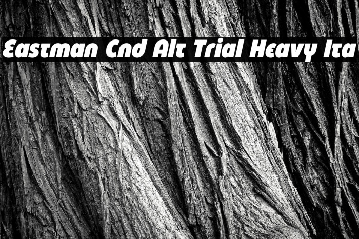 Eastman Cnd Alt Trial Heavy Ita Example 3