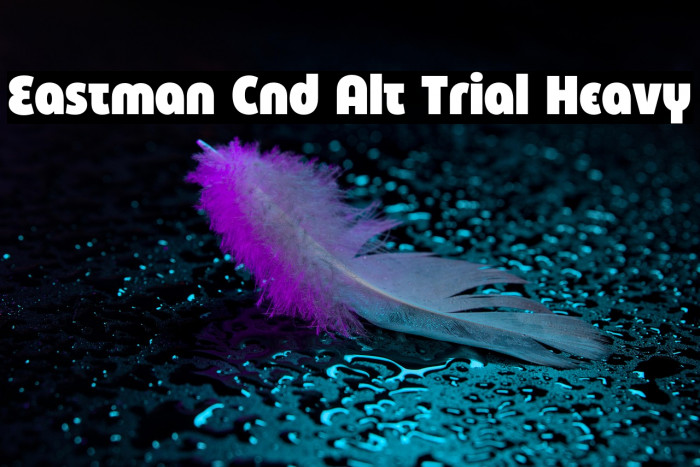 Eastman Cnd Alt Trial Heavy Example 2