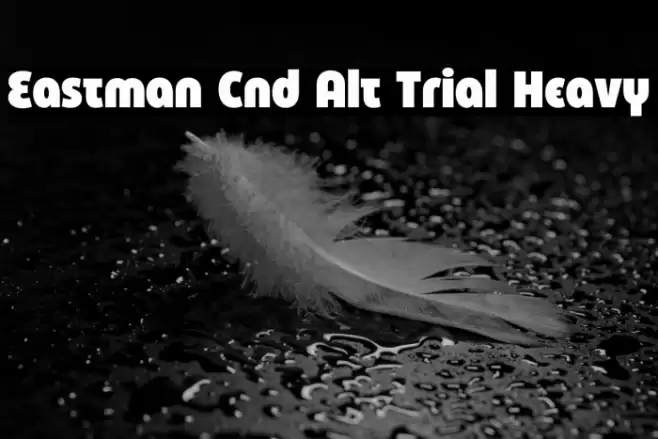 Eastman Cnd Alt Trial Heavy Font examples