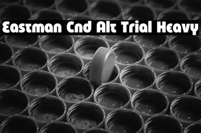 Eastman Cnd Alt Trial Heavy Font examples