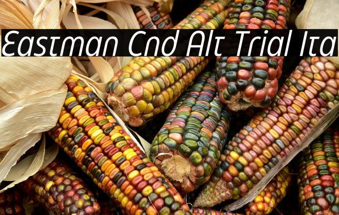 Eastman Cnd Alt Trial Ita Example 2